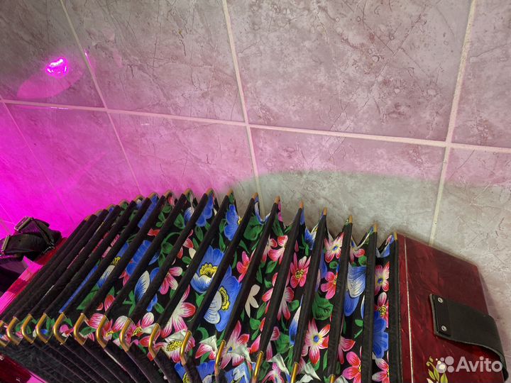 Гармонь Тульская 301 М Красный Перламутр