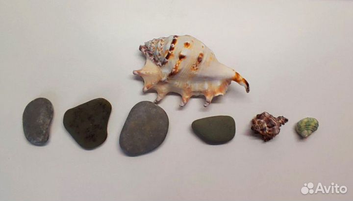 Аквариум для рыб