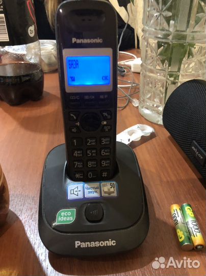 Panasonic