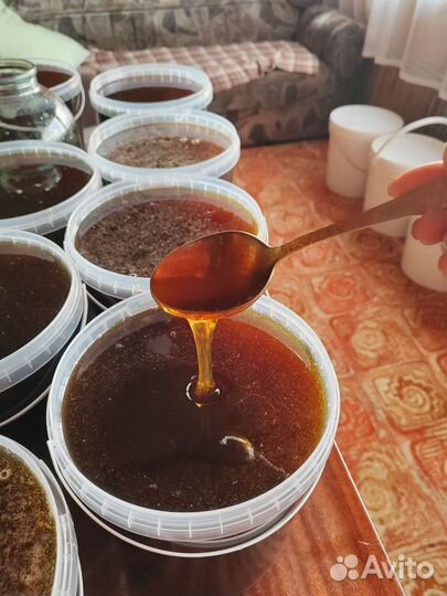 Свежий мед 2023