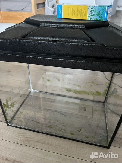 Аквариум с фильтрами