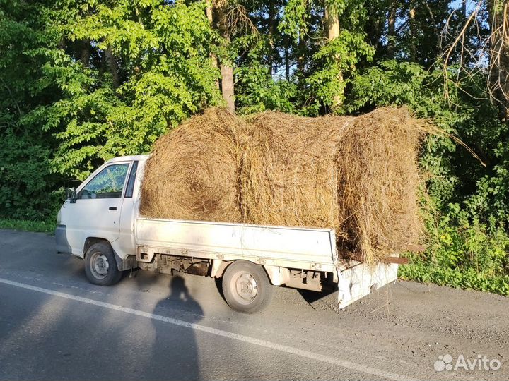 Сено в тюках с доставкой, как вчера косил) овес