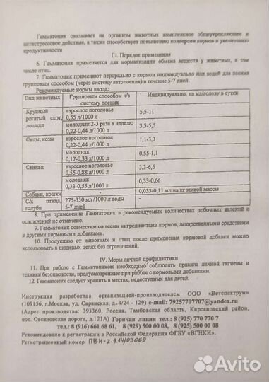 Гамматоник