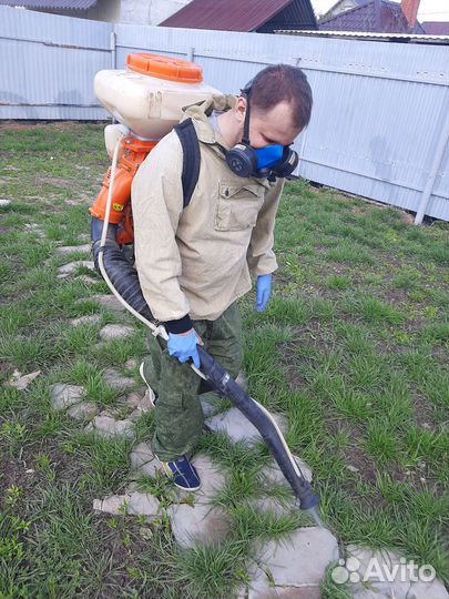 Обработка от клещей / уничтожение клопов