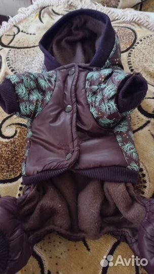 Одежда для собак