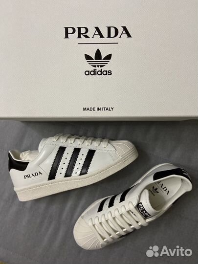 Prada adidas 2024 superstar price