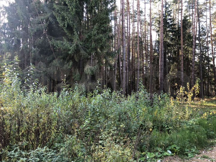 Участок 12 сот. (СНТ, ДНП)