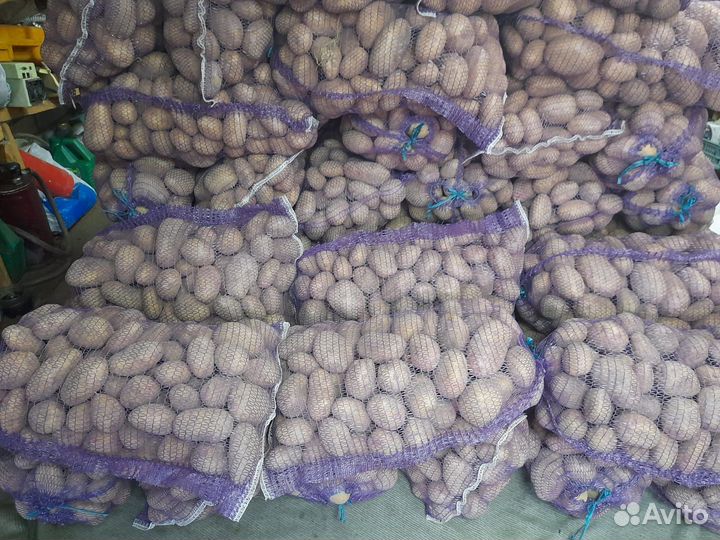 Продам картофель
