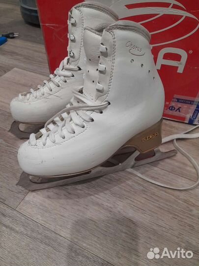 Коньки edea chorus225