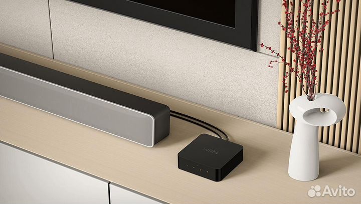 Стриминговыи Hi-Fi стерео аудиоплеер WiiM PRO