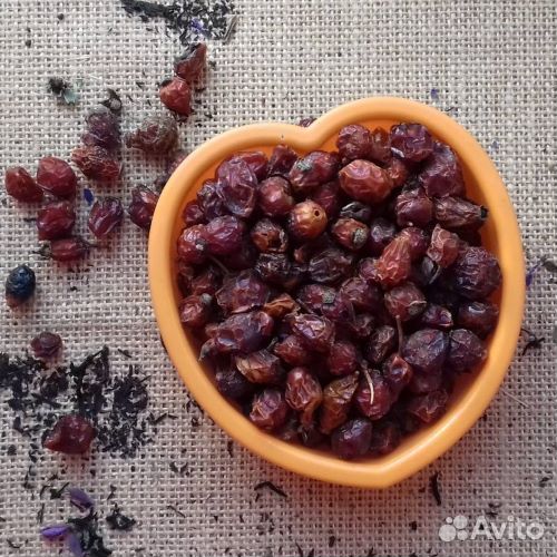 Шиповник плоды