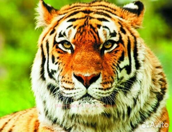 Алмазная мозаика 40x50 Пушистый