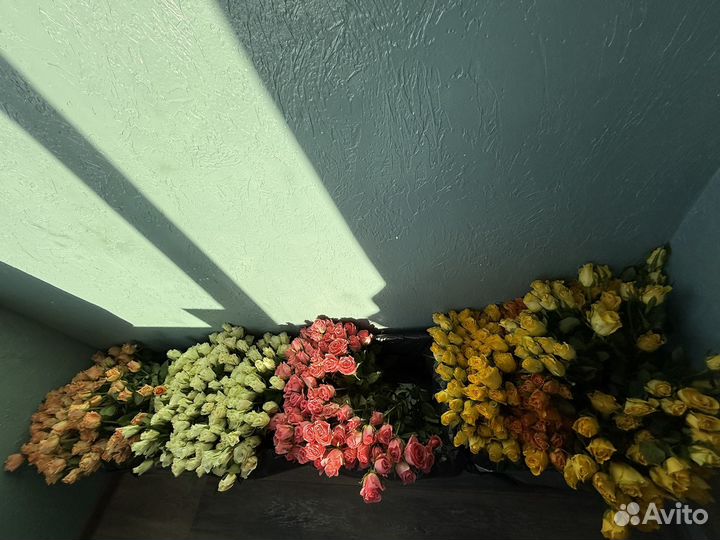 Розы и тюльпаны