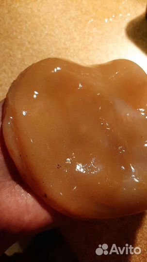 Чайный гриб