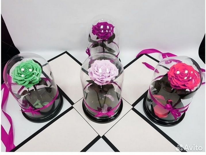 Вечная Роза в колбе. Много моделей. От завода