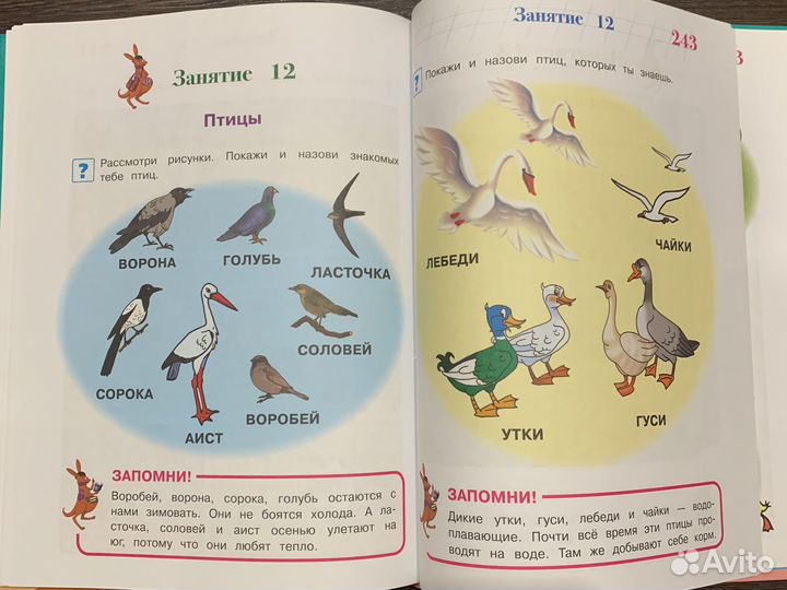 Развивающие книги Годовой курс 3-4лет