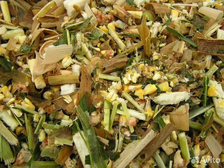 Силос кукурузный, сенаж