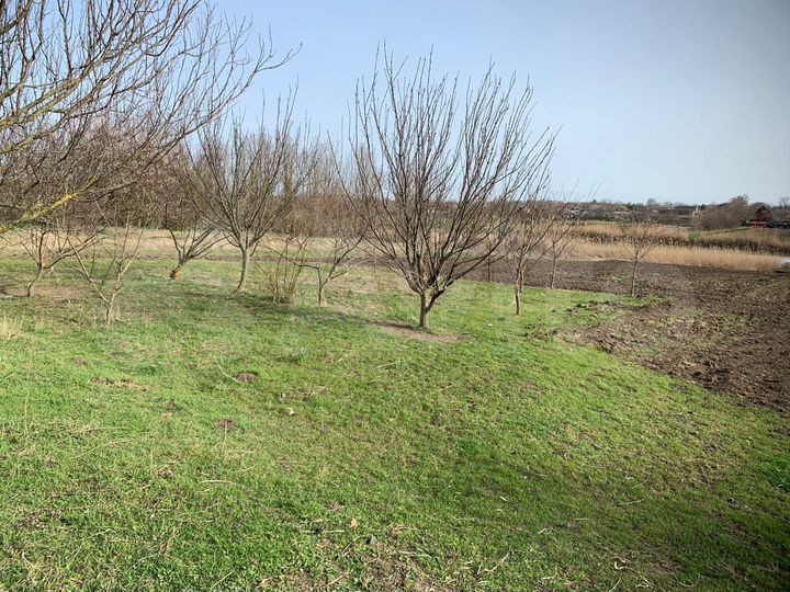 Дом 53 м² на участке 25 сот.