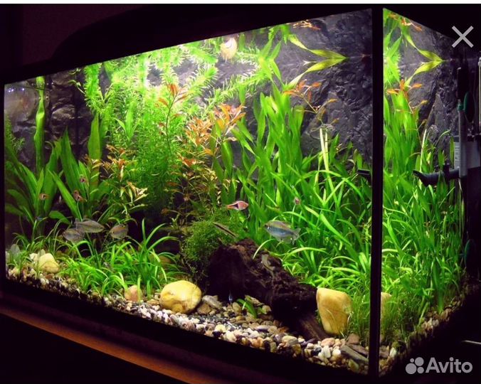 Эко аквариум