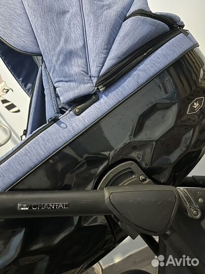 Коляска adamex chantal 3/1