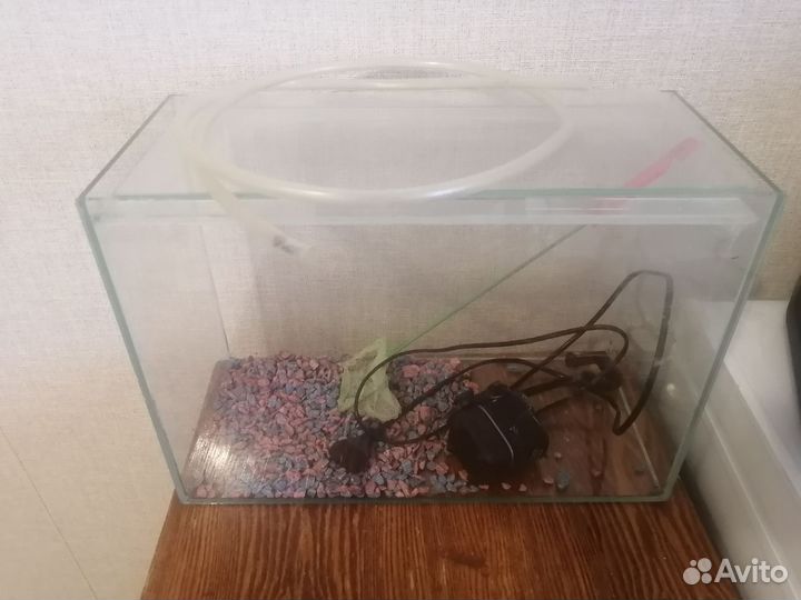 Аквариум