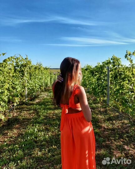 Экскурсия Камский виноградник-Казань