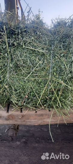 Продажа сена в тюках ростовская область