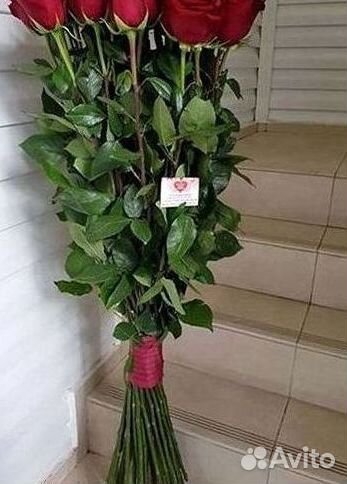 Высокие розы Гигантские Розы 150 160 170 180 190см