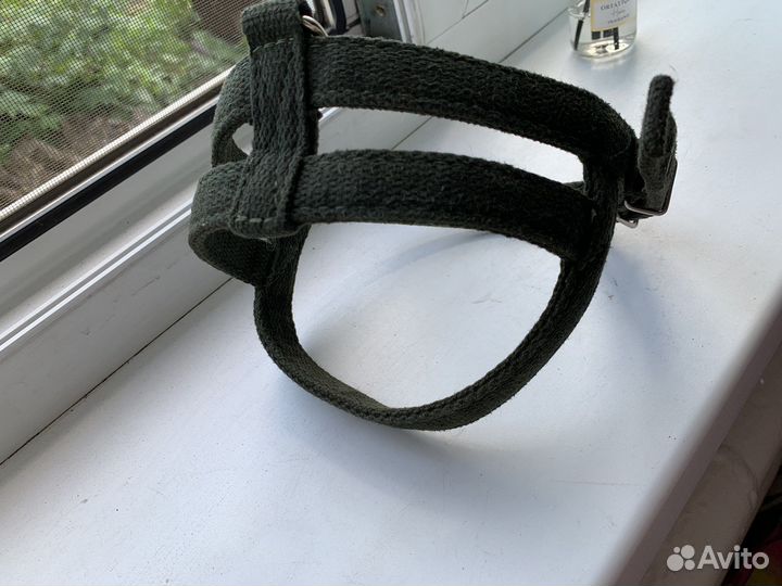 Ошейник и шлейка для собак