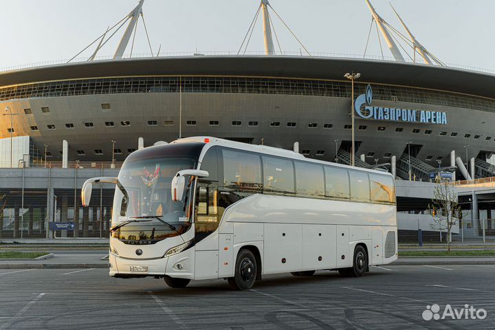 Трансфер. Аренда новых автобусов с водителем