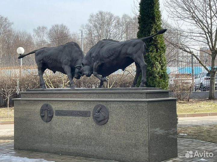 Семейный Юрист Развод, Раздел имущества, Дети