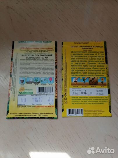 Цветы петунии бархатцы рассада