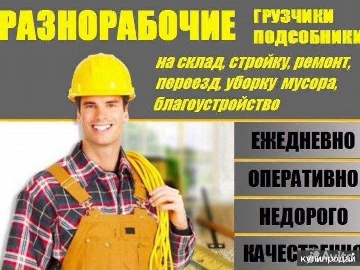 Услуги