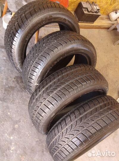 Tigar Winter 1 205/55 R16