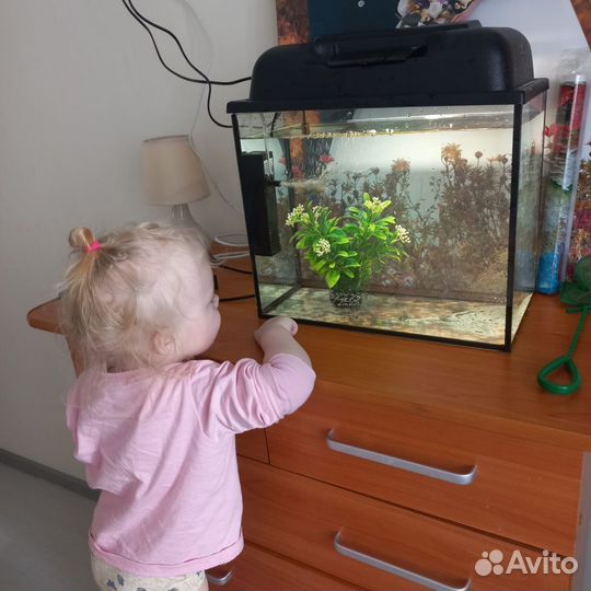 Аквариум 20 литров