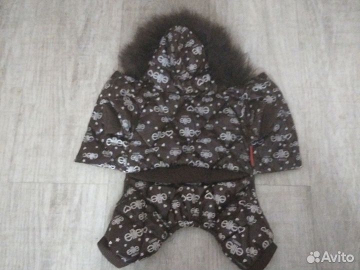 Одежда для маленьких собак