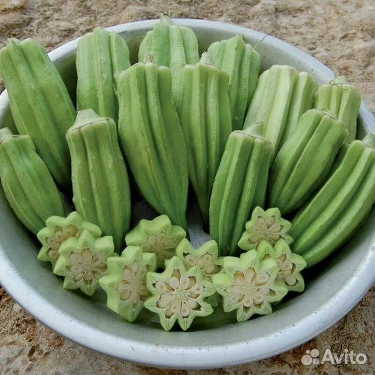 Рассада бамии