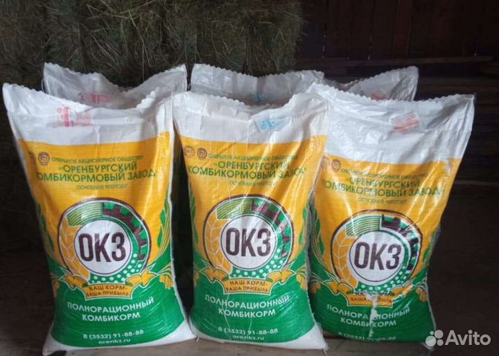 Богданович все виды