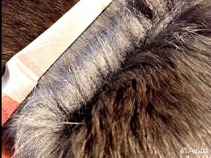 Меховой воротник песец