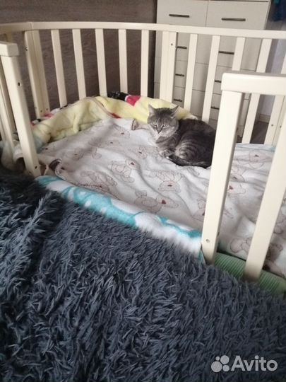 Кровать трансформер