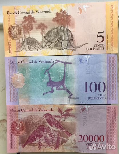 Купюры разных стран, без хождения