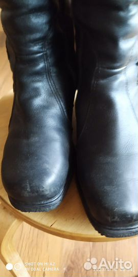 Сапоги женские зимние