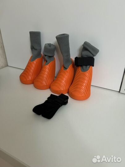 Обувь для собак средних пород