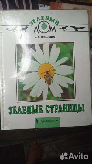 Учебники начальной школы