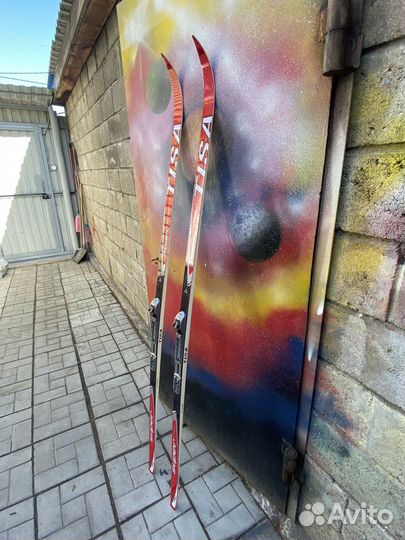 Лыжи беговые tisa