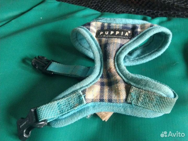 Шлейка для маленькой собаки