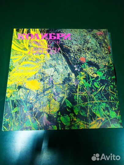 Виниловые пластинки