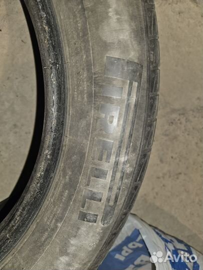 Pirelli ASW2 205/55 R16 42M