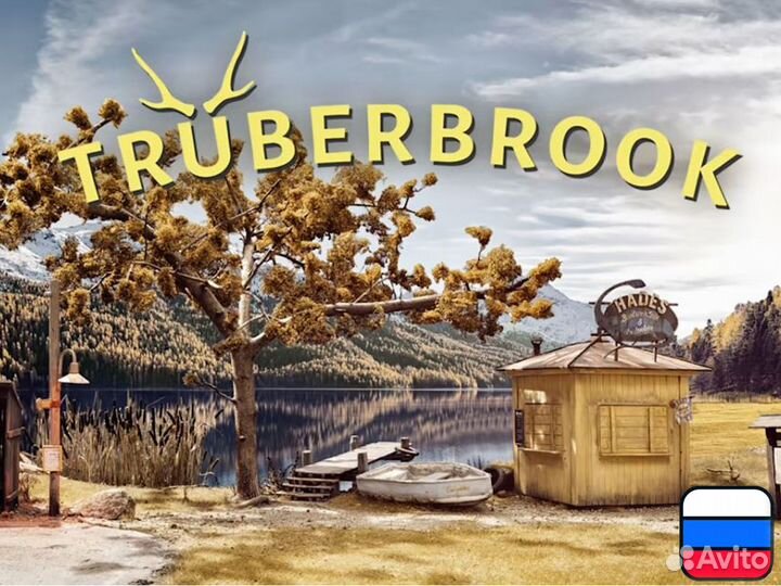 Trüberbrook для Nintendo Switch