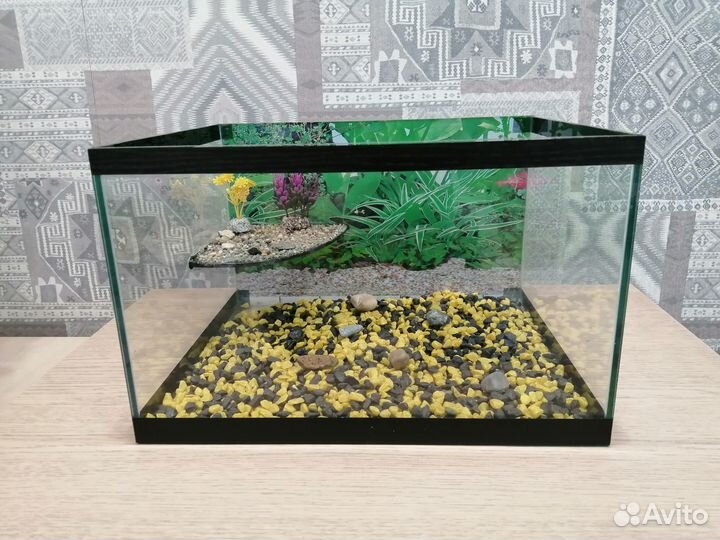 Аквариум черепашник